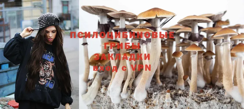 Псилоцибиновые грибы Psilocybine cubensis  продажа наркотиков  Кизляр 